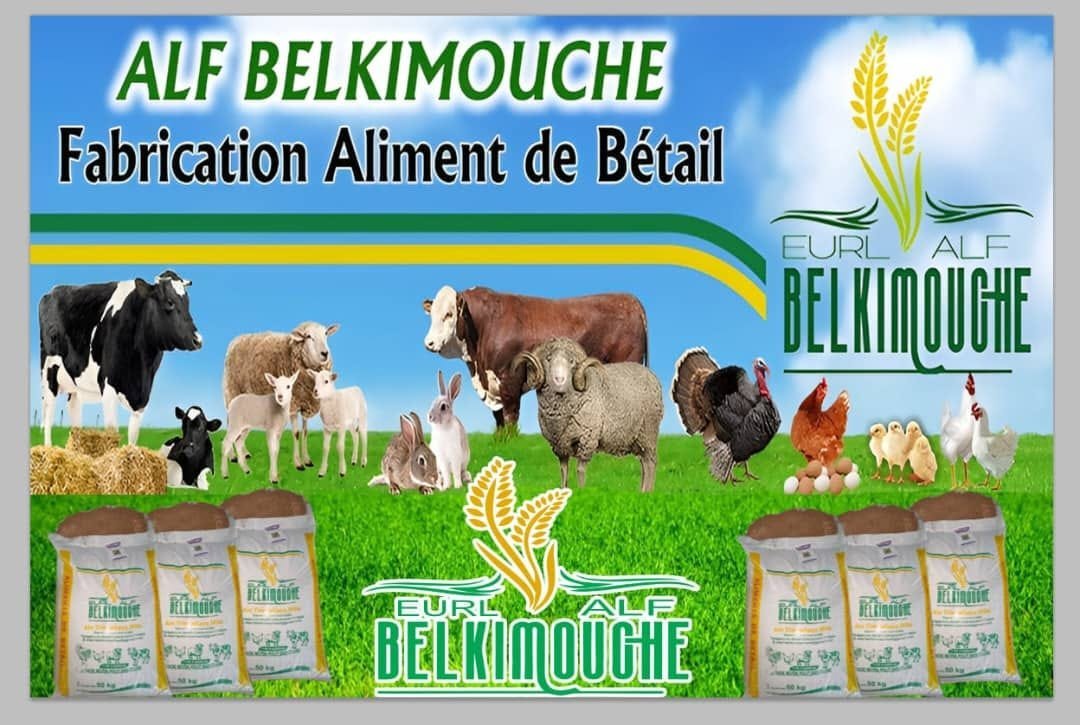 Bannière ALF BELKIMOUCHE